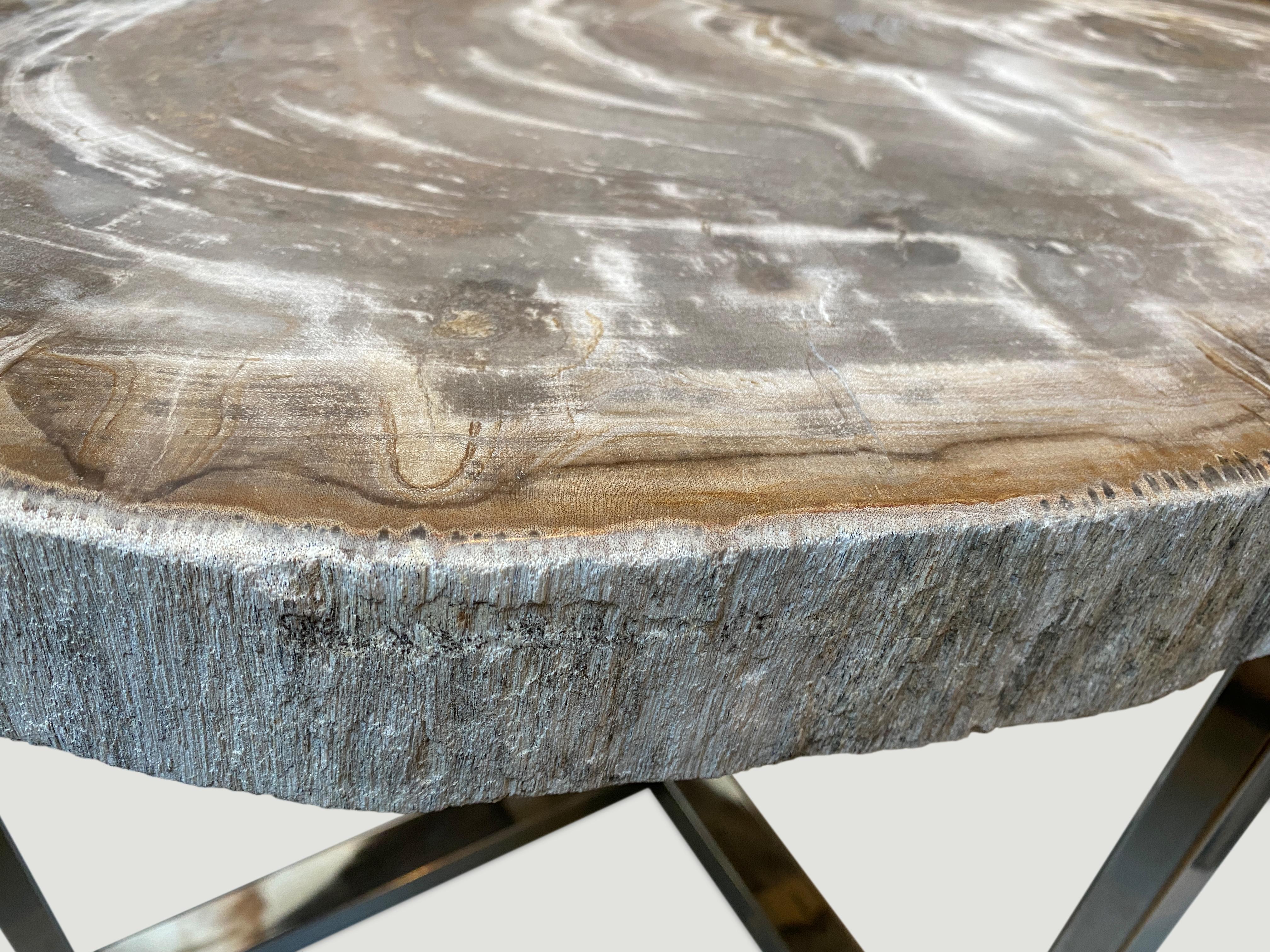 Metal Andrianna Shamaris High Quality Petrified Wood Slab Top Side Table For Sale