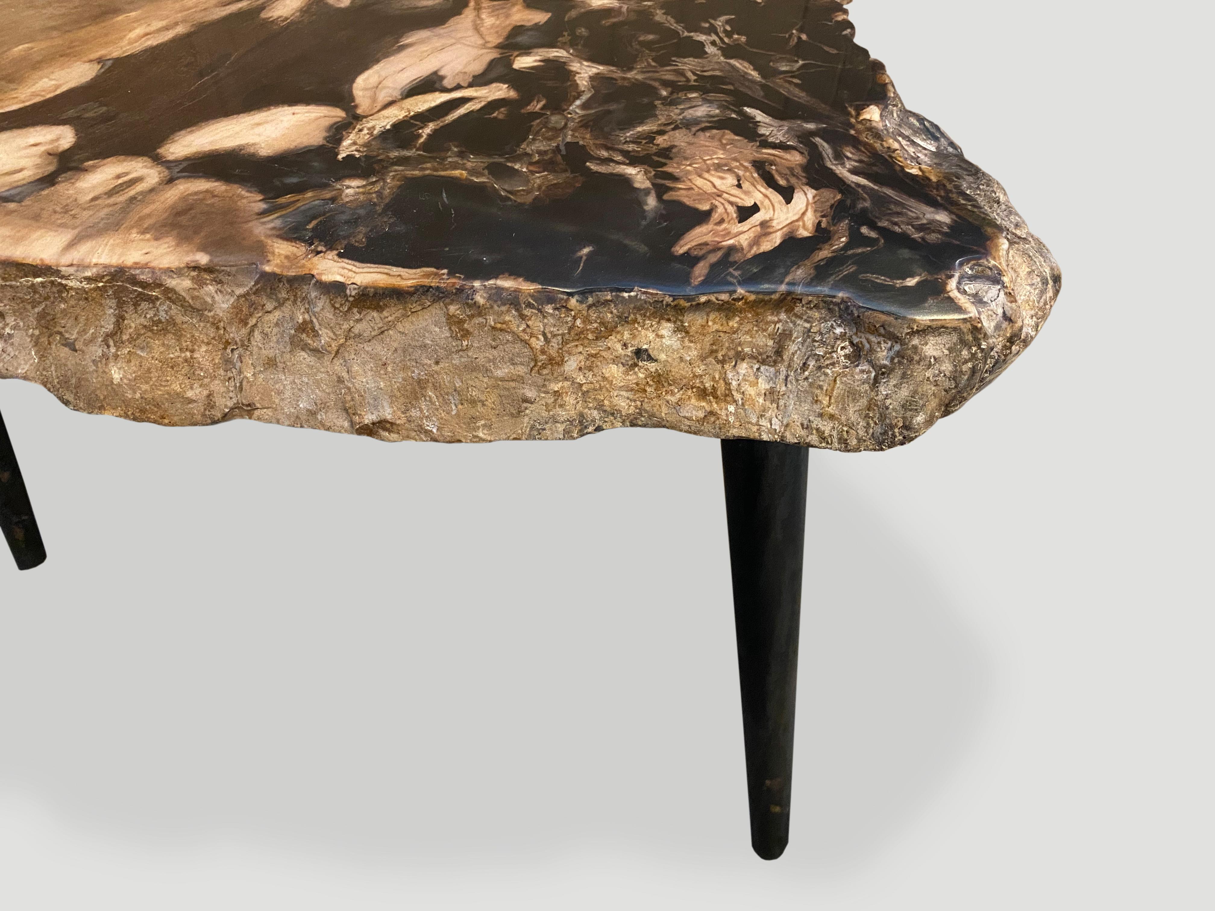 Andrianna Shamaris High Quality Petrified Wood Slab Top Side Table 1