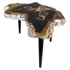 Antique Andrianna Shamaris High Quality Petrified Wood Slab Top Side Table
