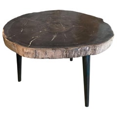 Andrianna Shamaris High Quality Petrified Wood Slab Top Side Table