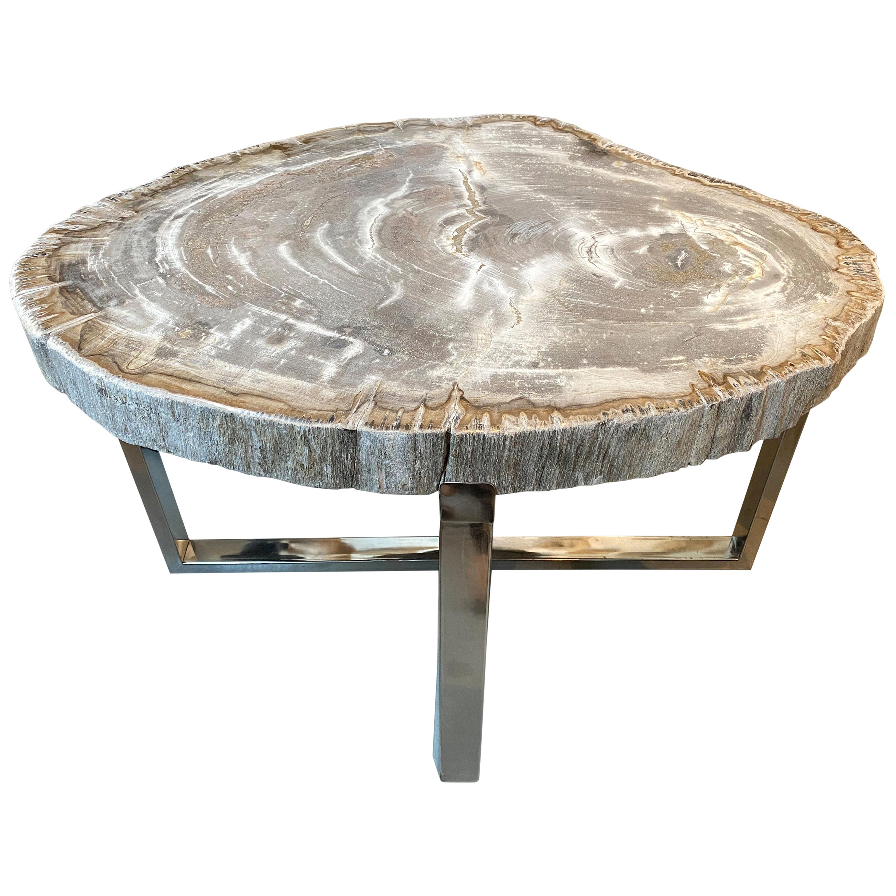 Andrianna Shamaris High Quality Petrified Wood Slab Top Side Table For Sale