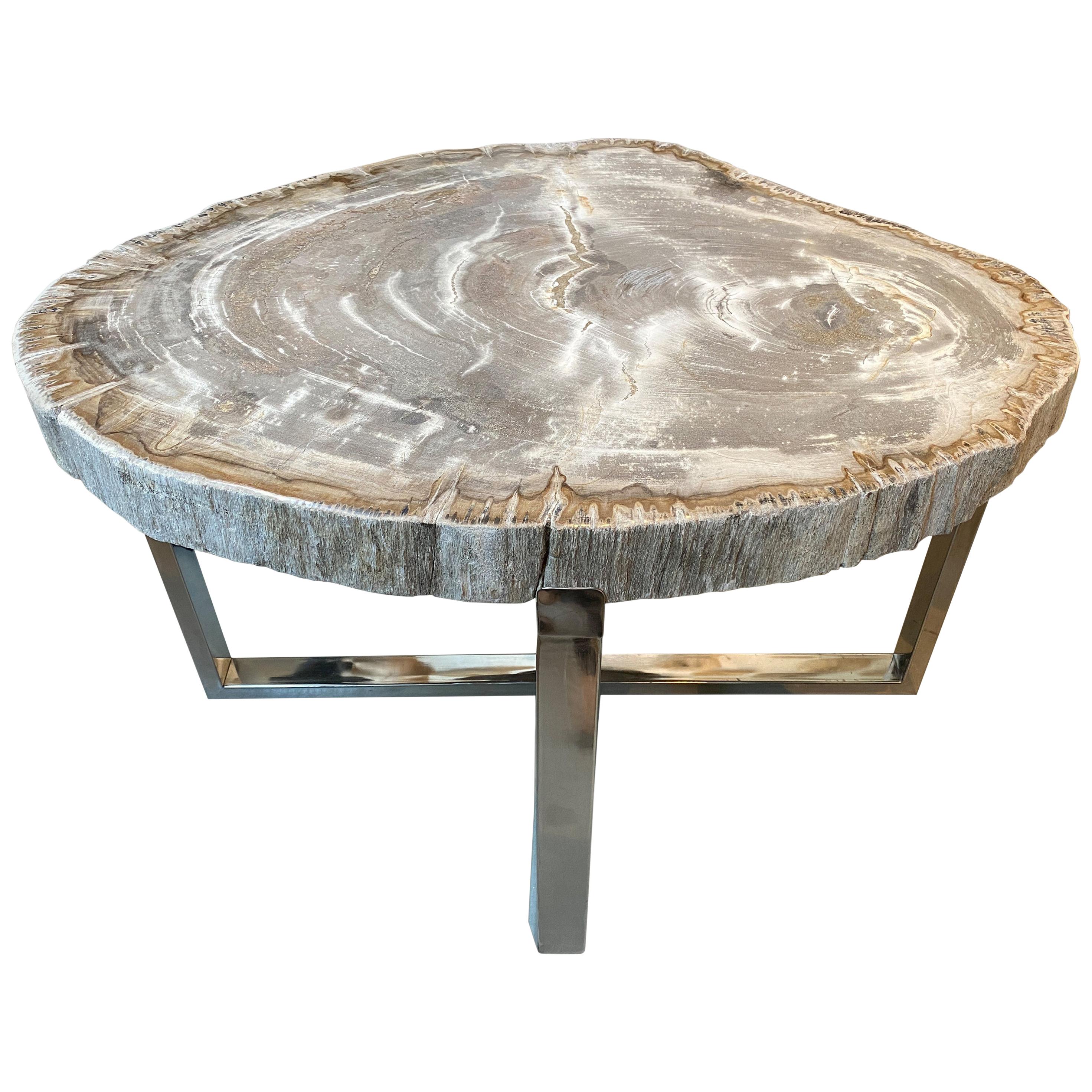 Andrianna Shamaris High Quality Petrified Wood Slab Top Side Table For Sale