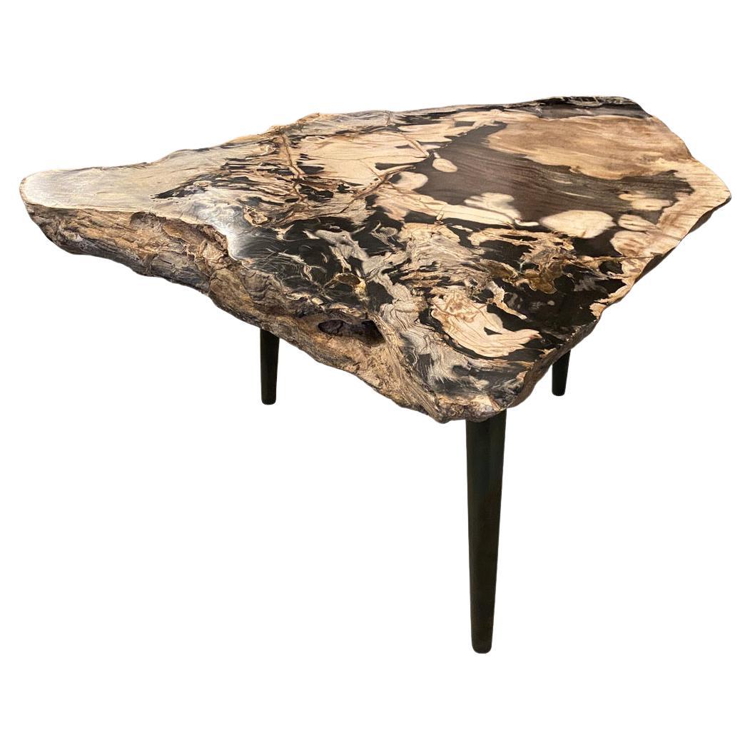 Andrianna Shamaris High Quality Petrified Wood Slab Top Side Table