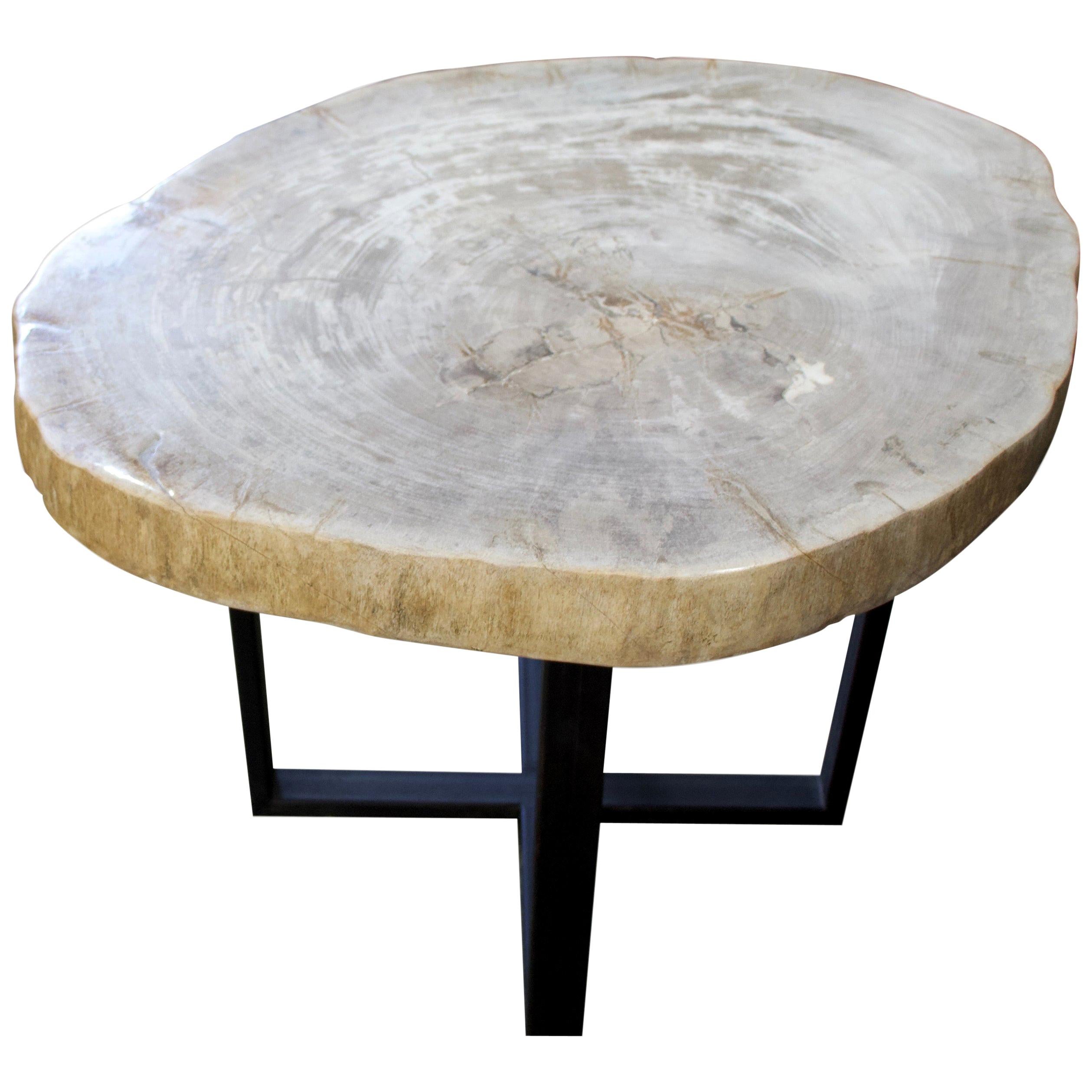 Andrianna Shamaris High Quality Petrified Wood Slab Top Table