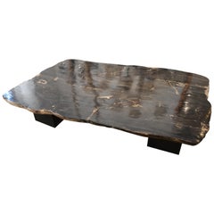 Andrianna Shamaris High Quality Petrified Wood Table