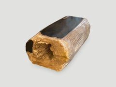 Andrianna Shamaris Hohe Qualität Seltene versteinertes Holz Log Bank oder Couchtisch