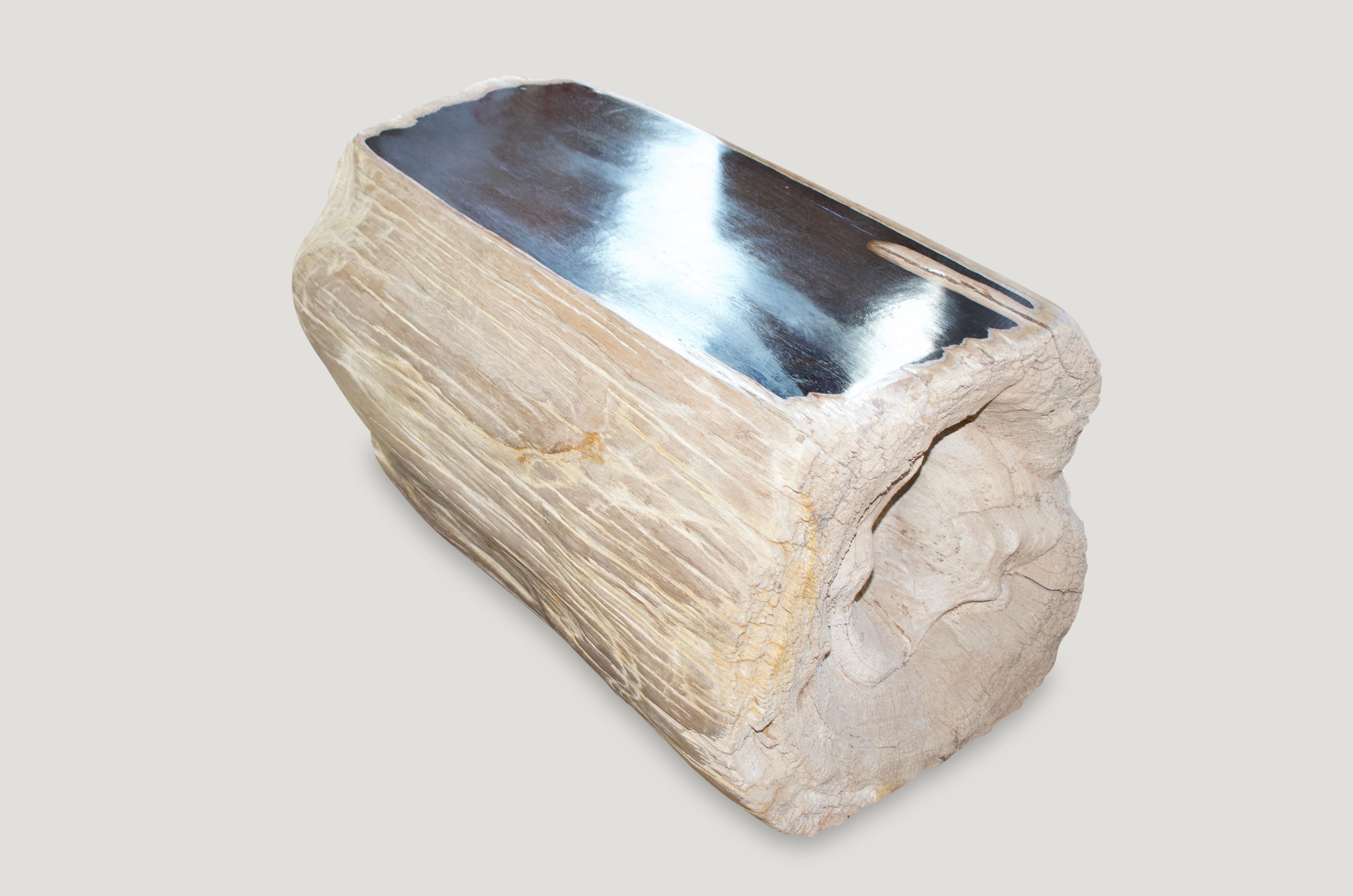 Organic Modern Andrianna Shamaris High Quality Rare Petrified Wood Log Bench or Coffee Table