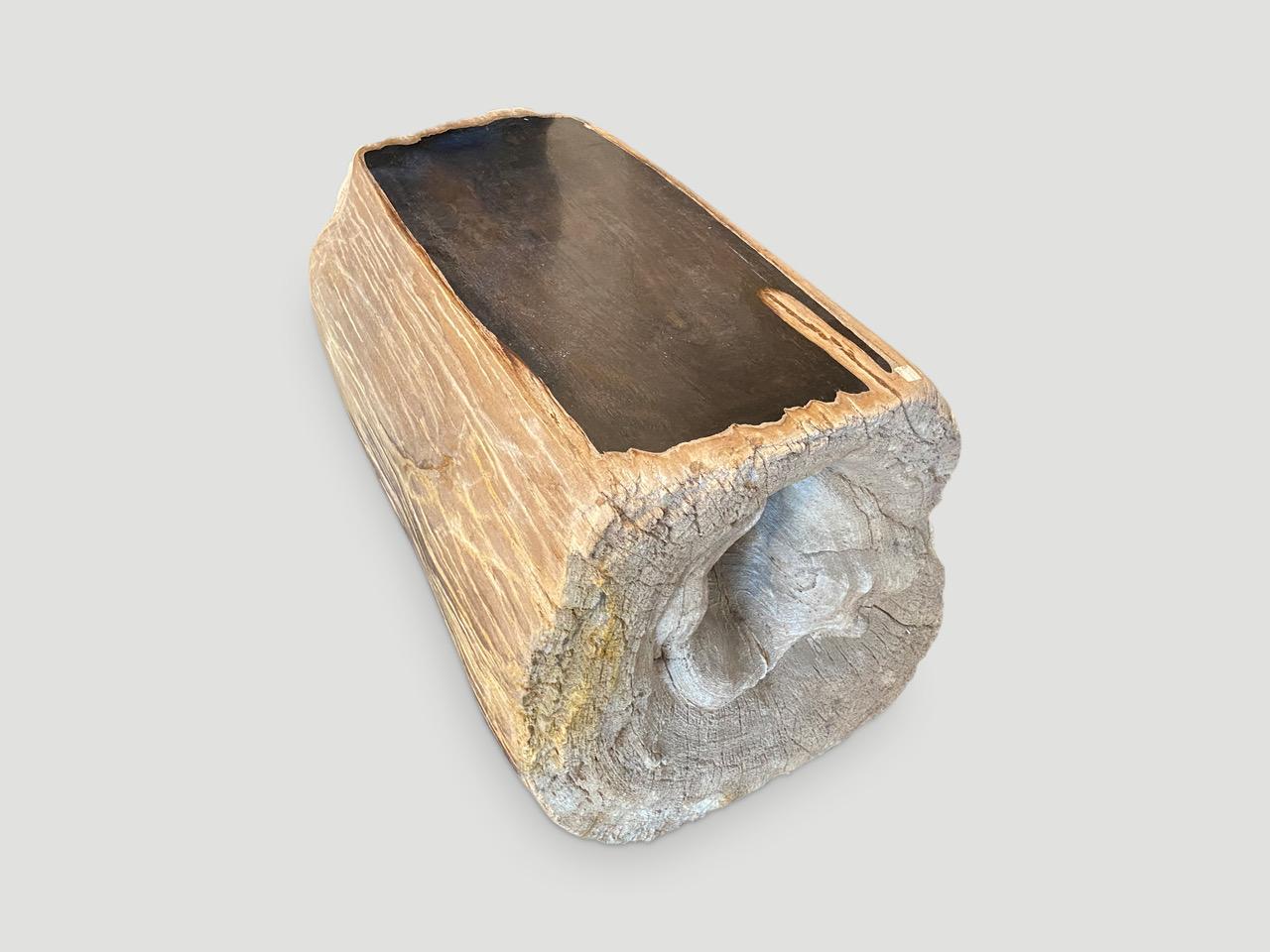 Andrianna Shamaris High Quality Rare Petrified Wood Log Bench or Coffee Table 3