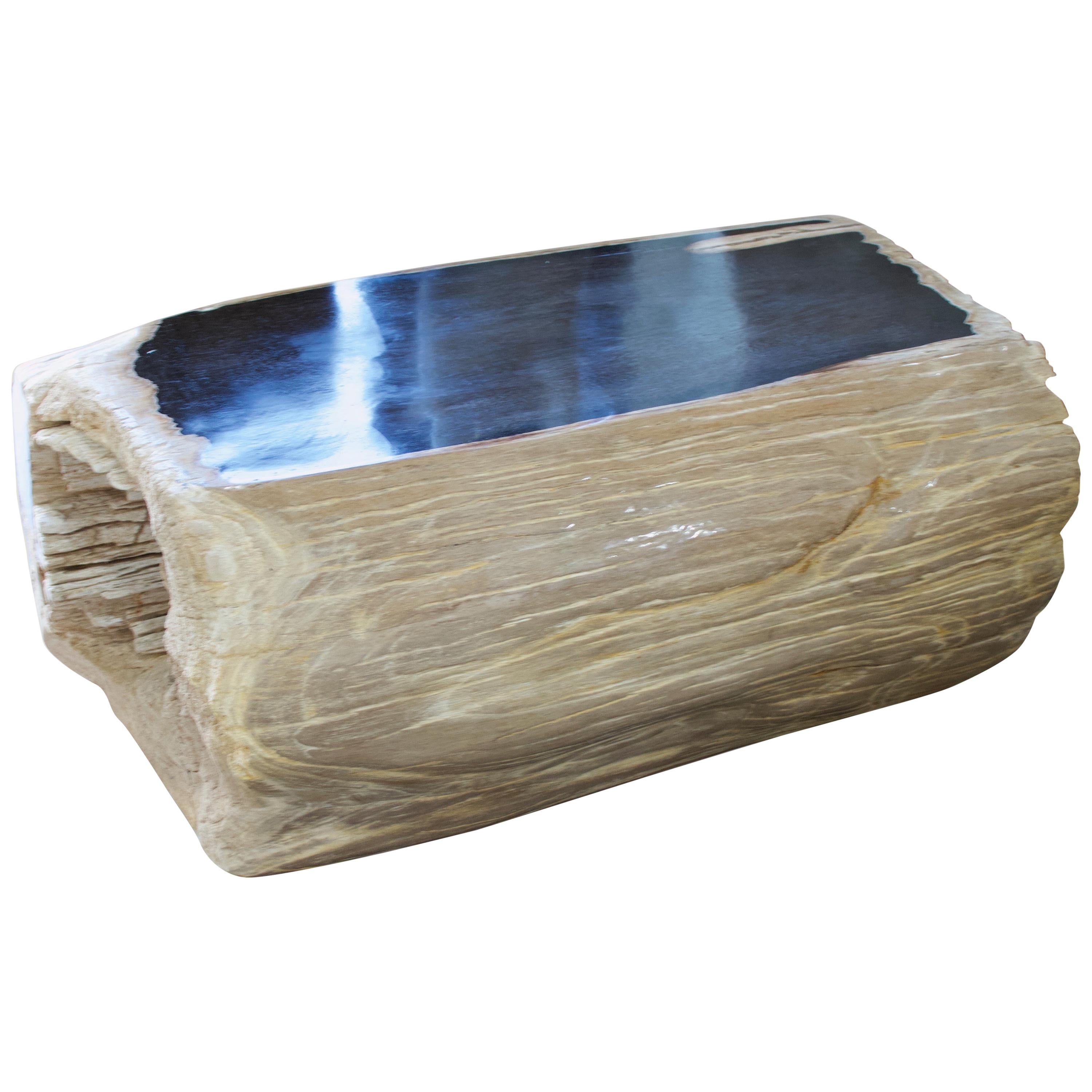 Andrianna Shamaris High Quality Rare Petrified Wood Log Bench or Coffee Table