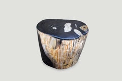 Andrianna Shamaris High Quality Super Smooth Petrified Wood Side Table
