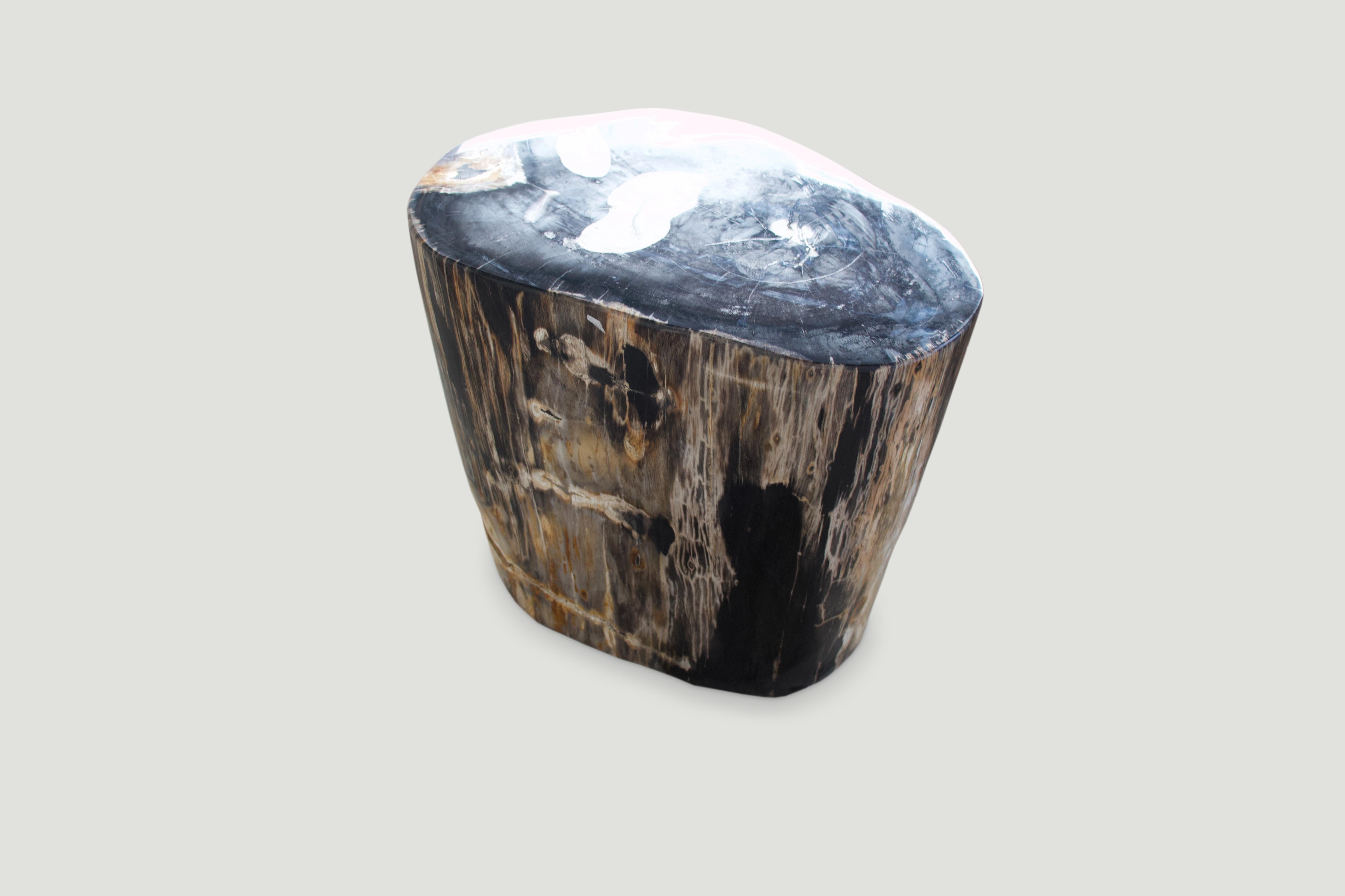 Andrianna Shamaris High Quality Super Smooth Petrified Wood Side Table In Excellent Condition In New York, NY
