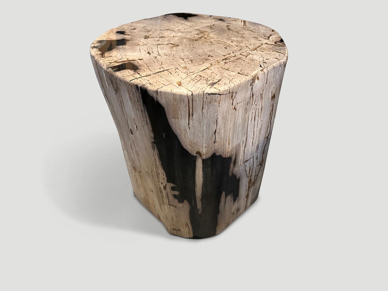 Beautiful contrasting tones and markings on this impressive high quality petrified wood side table. It’s fascinating how Mother Nature produces these exquisite 40 million year old petrified teak logs with such contrasting colors and natural patterns