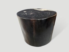 Andrianna Shamaris Impressive Ancient Petrified Wood Side Table