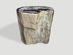Andrianna Shamaris Impressive Ancient Petrified Wood Side Table