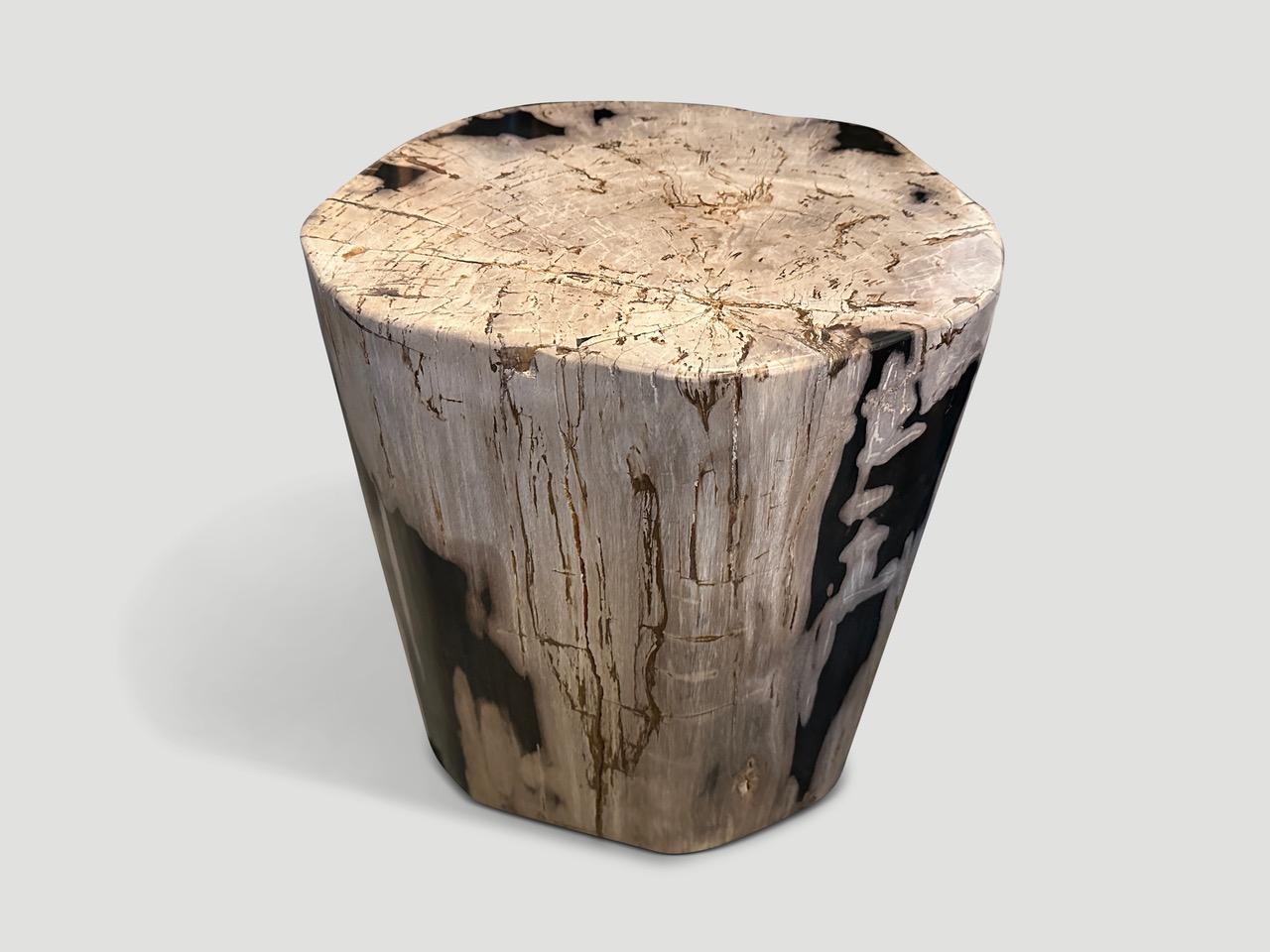 Organic Modern Andrianna Shamaris Impressive Ancient Petrified Wood Side Table