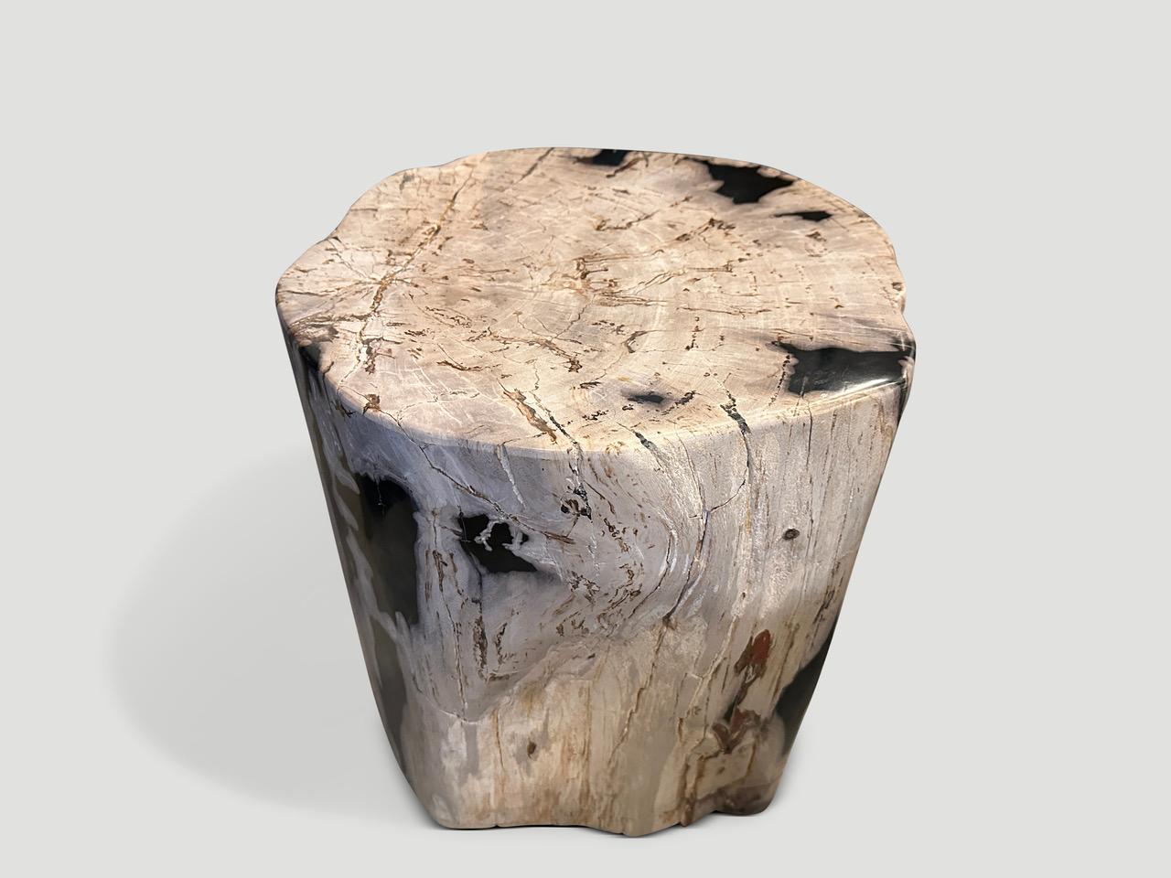 Andrianna Shamaris Impressive Ancient Petrified Wood Side Table In Excellent Condition In New York, NY
