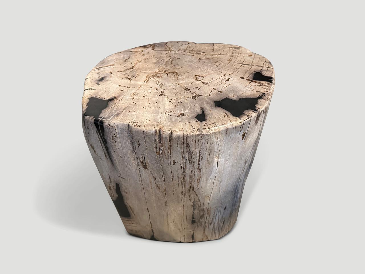 Contemporary Andrianna Shamaris Impressive Ancient Petrified Wood Side Table