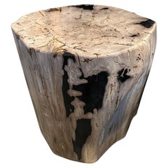 Andrianna Shamaris Impressive Ancient Petrified Wood Side Table