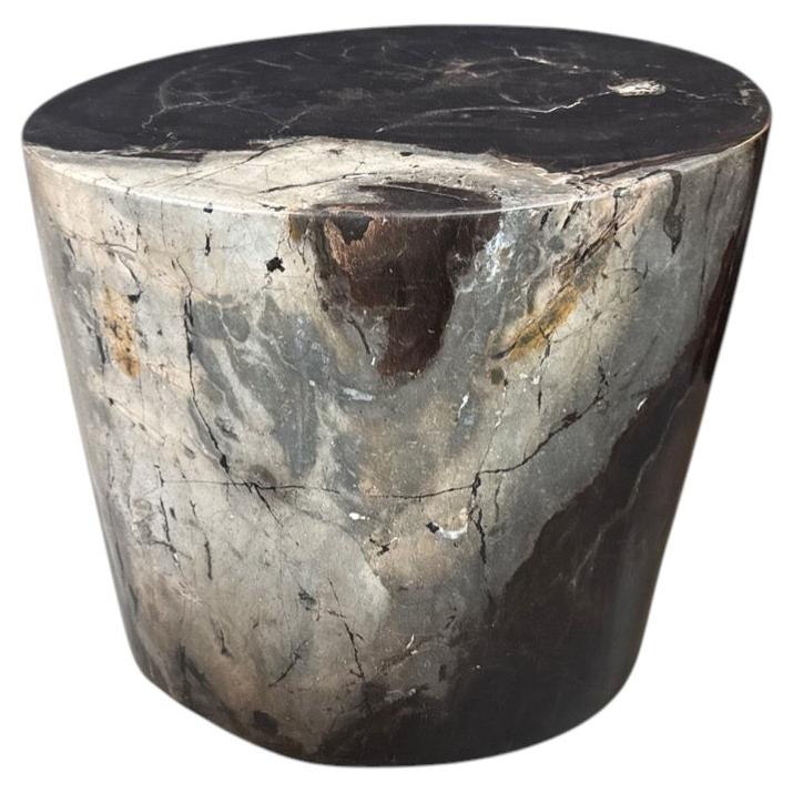 Andrianna Shamaris Impressive Ancient Petrified Wood Side Table