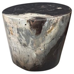 Andrianna Shamaris Impressive Ancient Petrified Wood Side Table