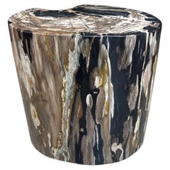 Andrianna Shamaris Impressive Ancient Petrified Wood Side Table
