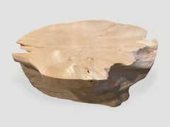 Andrianna Shamaris Impressive Bleached Teak Wood Coffee Table
