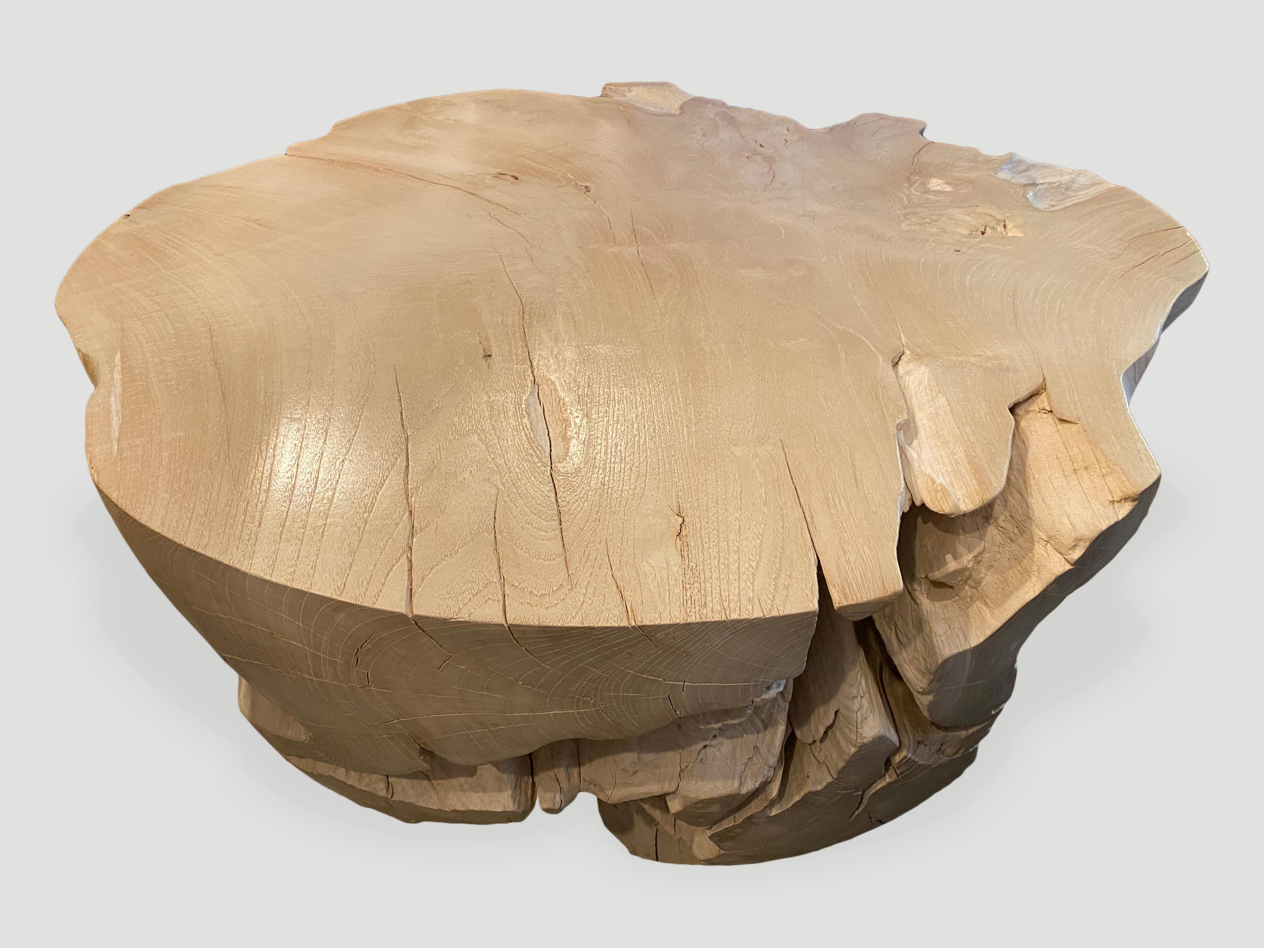 Organic Modern Andrianna Shamaris Impressive Bleached Teak Wood Coffee Table For Sale