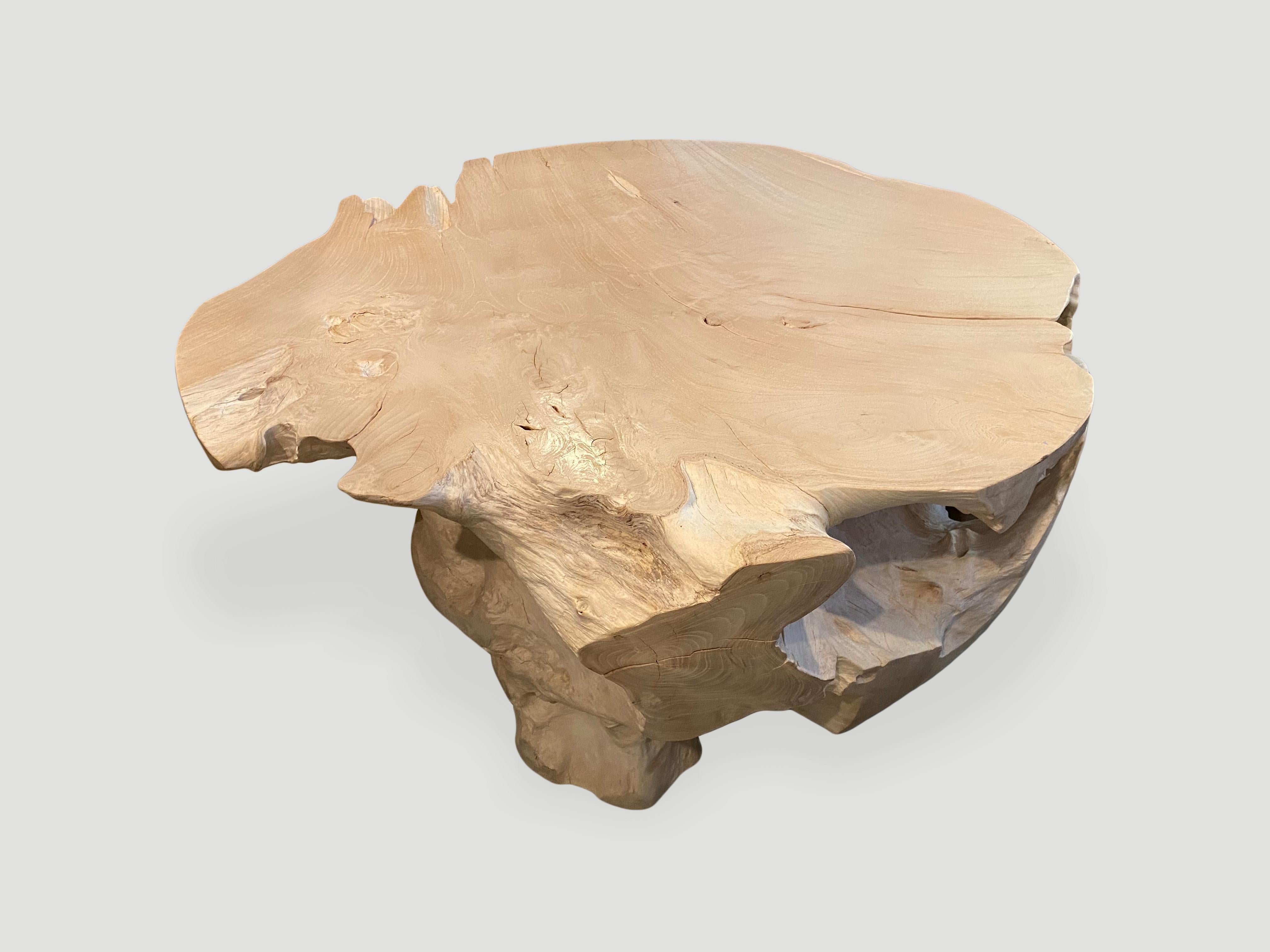 Contemporary Andrianna Shamaris Impressive Bleached Teak Wood Coffee Table For Sale