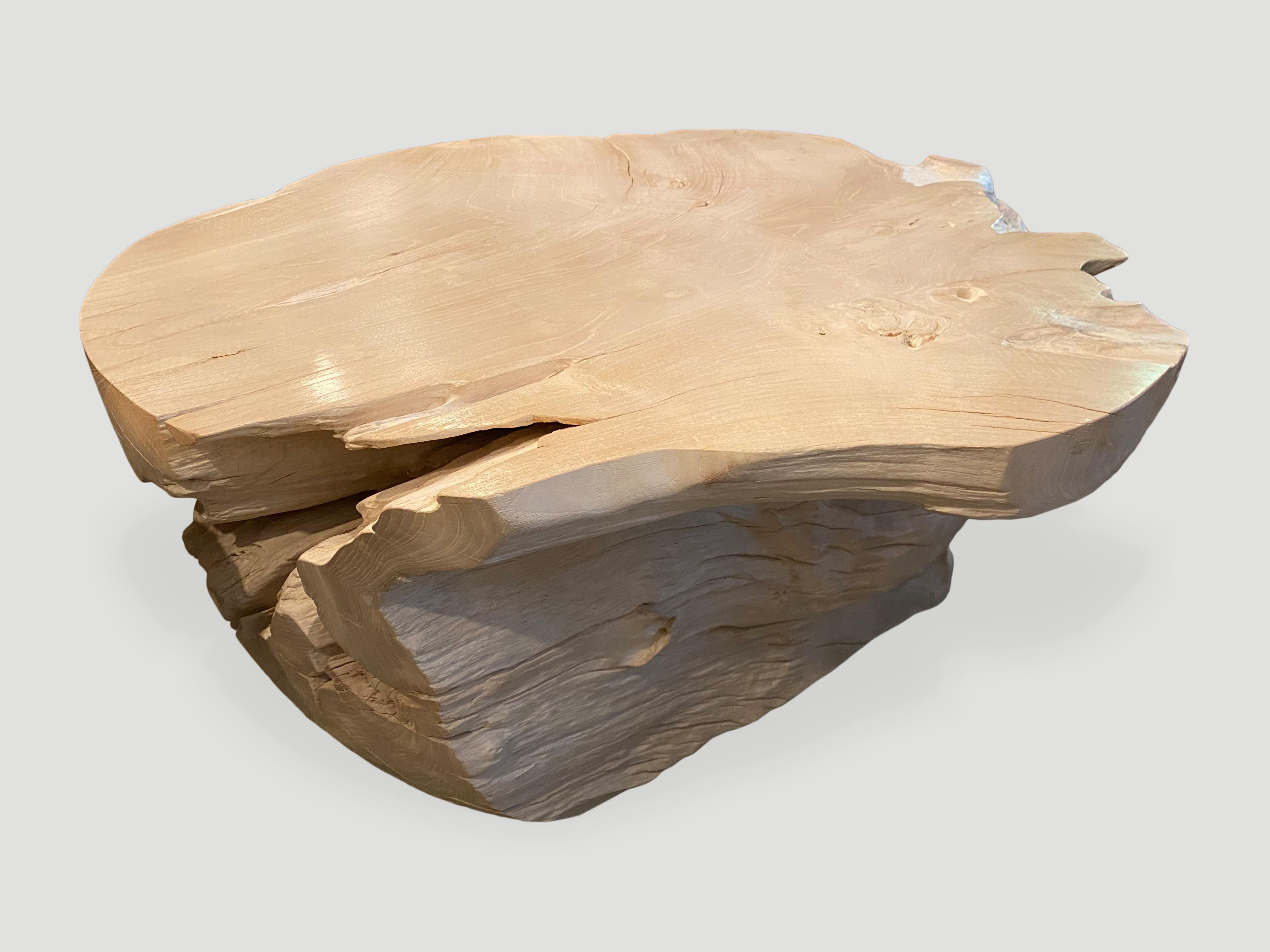 Andrianna Shamaris Impressive Bleached Teak Wood Coffee Table For Sale 1
