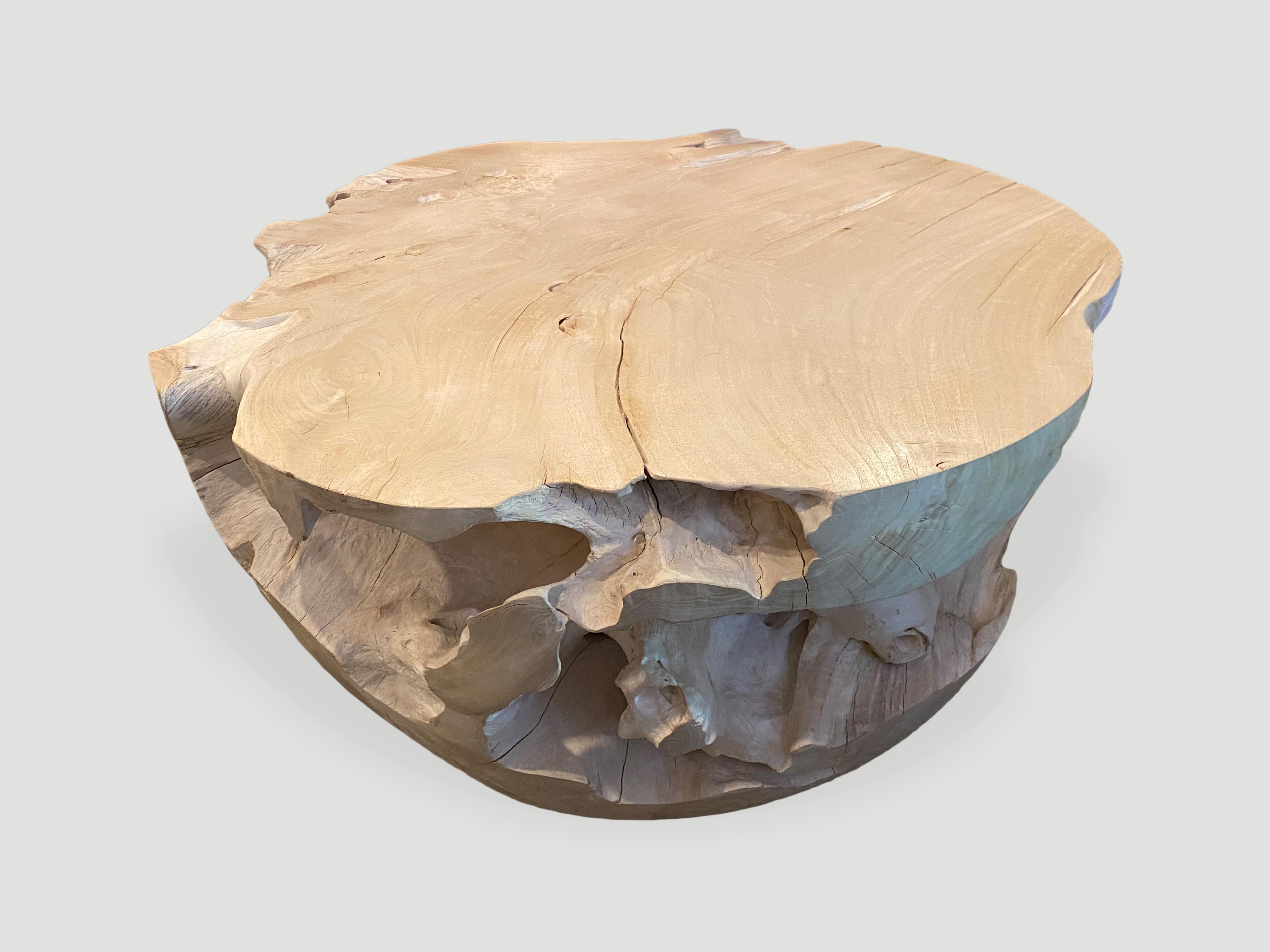 Andrianna Shamaris Impressive Bleached Teak Wood Coffee Table For Sale 2