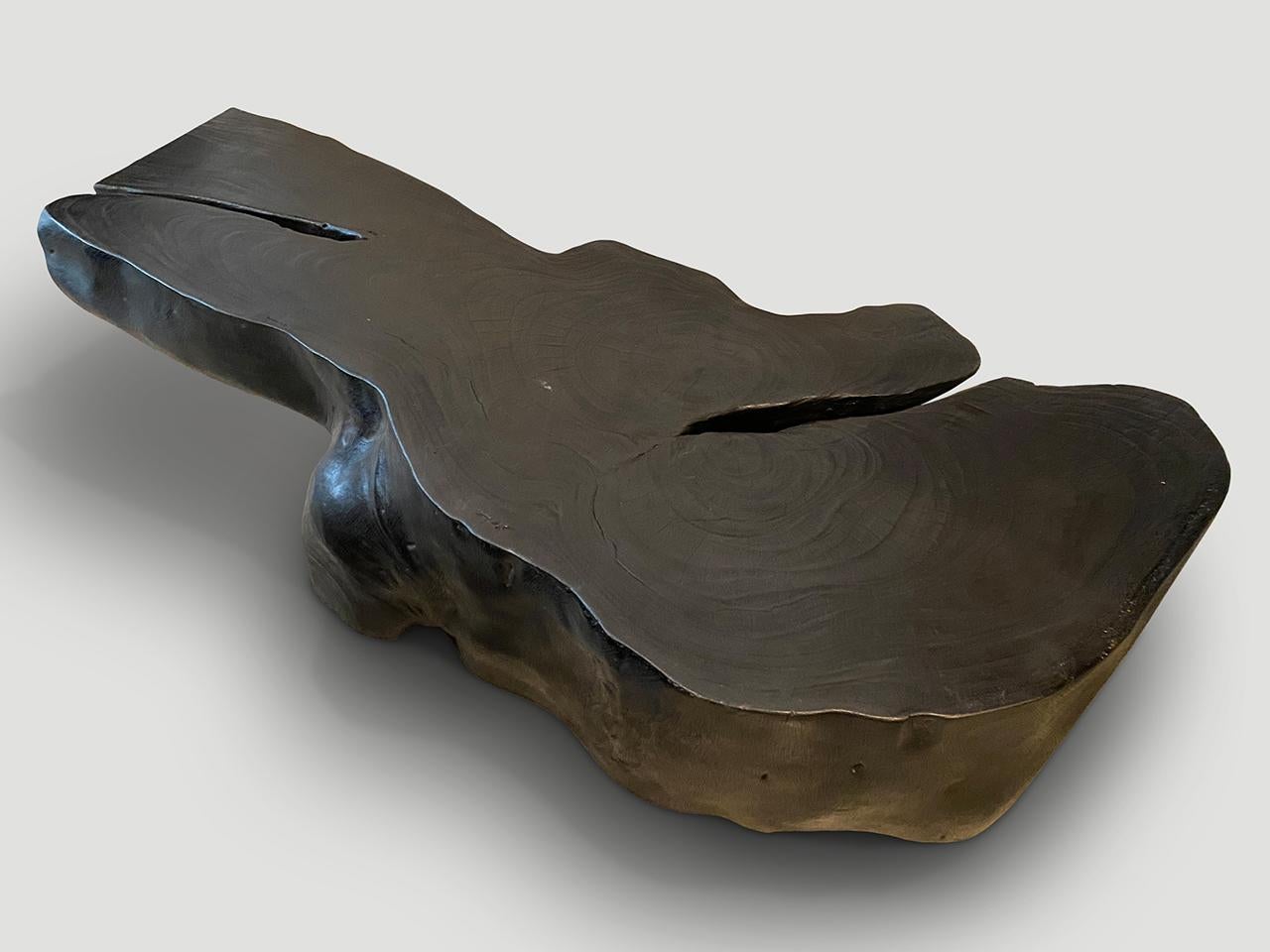 Contemporary Andrianna Shamaris Impressive Charred Coffee Table or Bench
