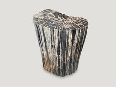 Andrianna Shamaris Impressive Grey and Black Petrified Wood Side Table