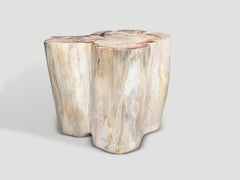 Andrianna Shamaris Impressive High Quality Ancient Petrified Wood Side Table