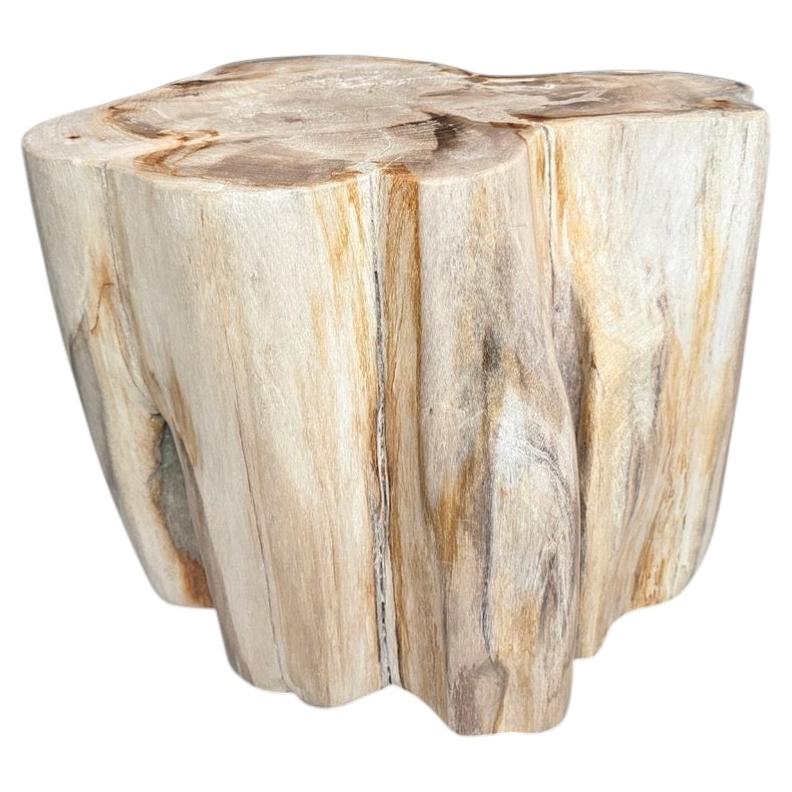 Andrianna Shamaris Impressive High Quality Ancient Petrified Wood Side Table