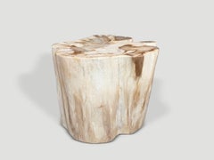 Andrianna Shamaris : superbe table d'appoint en bois pétrifié ancien de grande qualité