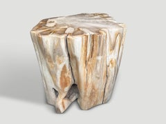 Andrianna Shamaris : superbe table d'appoint en bois pétrifié ancien de grande qualité