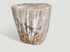 Andrianna Shamaris Impressive High Quality Ancient Petrified Wood Side Table