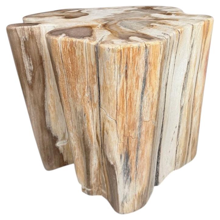Andrianna Shamaris Impressive High Quality Ancient Petrified Wood Side Table