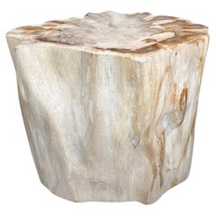 Andrianna Shamaris : superbe table d'appoint en bois pétrifié ancien de grande qualité