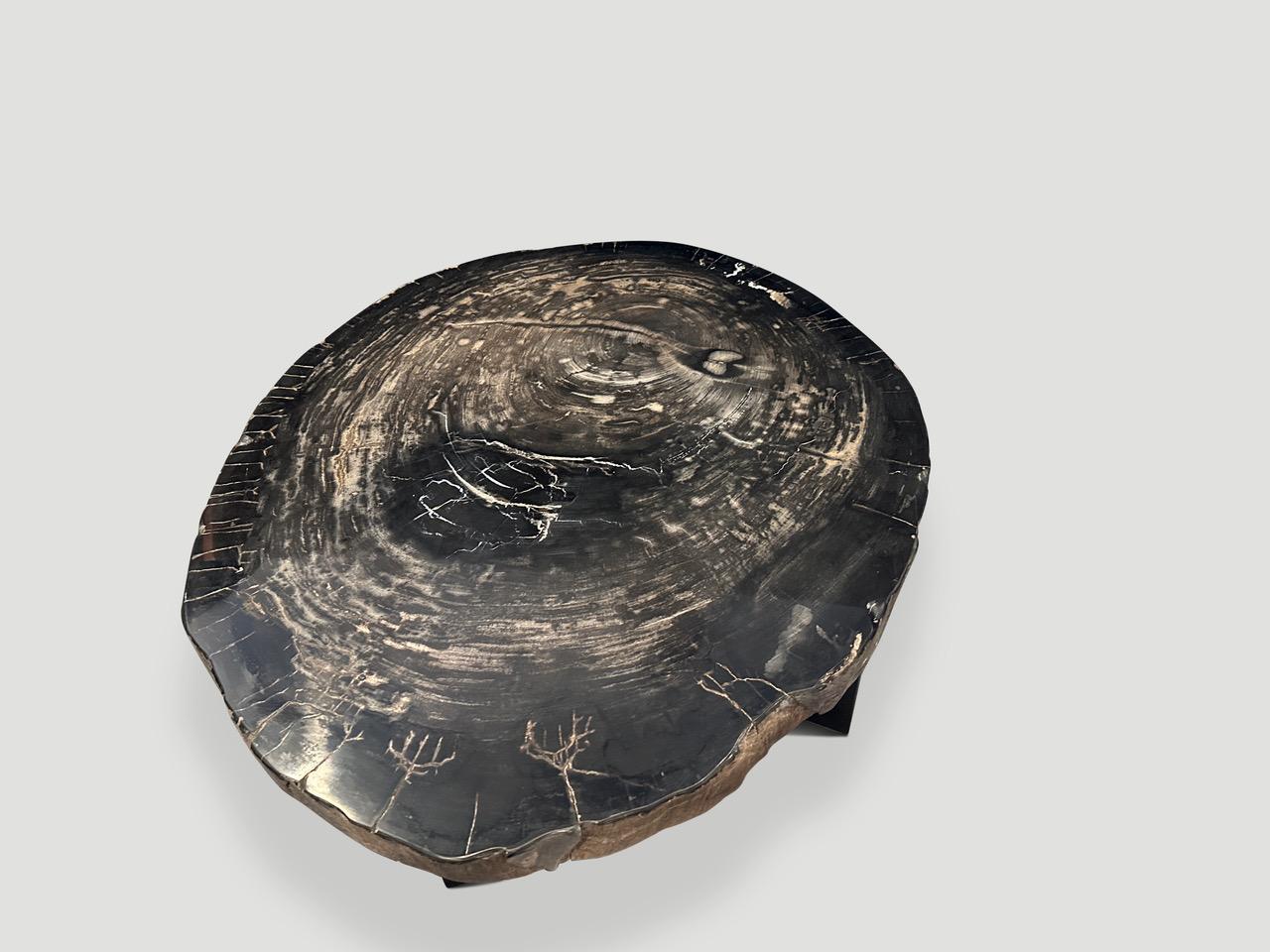 Stunning rare blue black tones on this petrified wood slab coffee table. This large impressive slab is floating on a minimalist metal base. Contrasting white markings and natural crystals are embedded on the top. We polished the top and left the