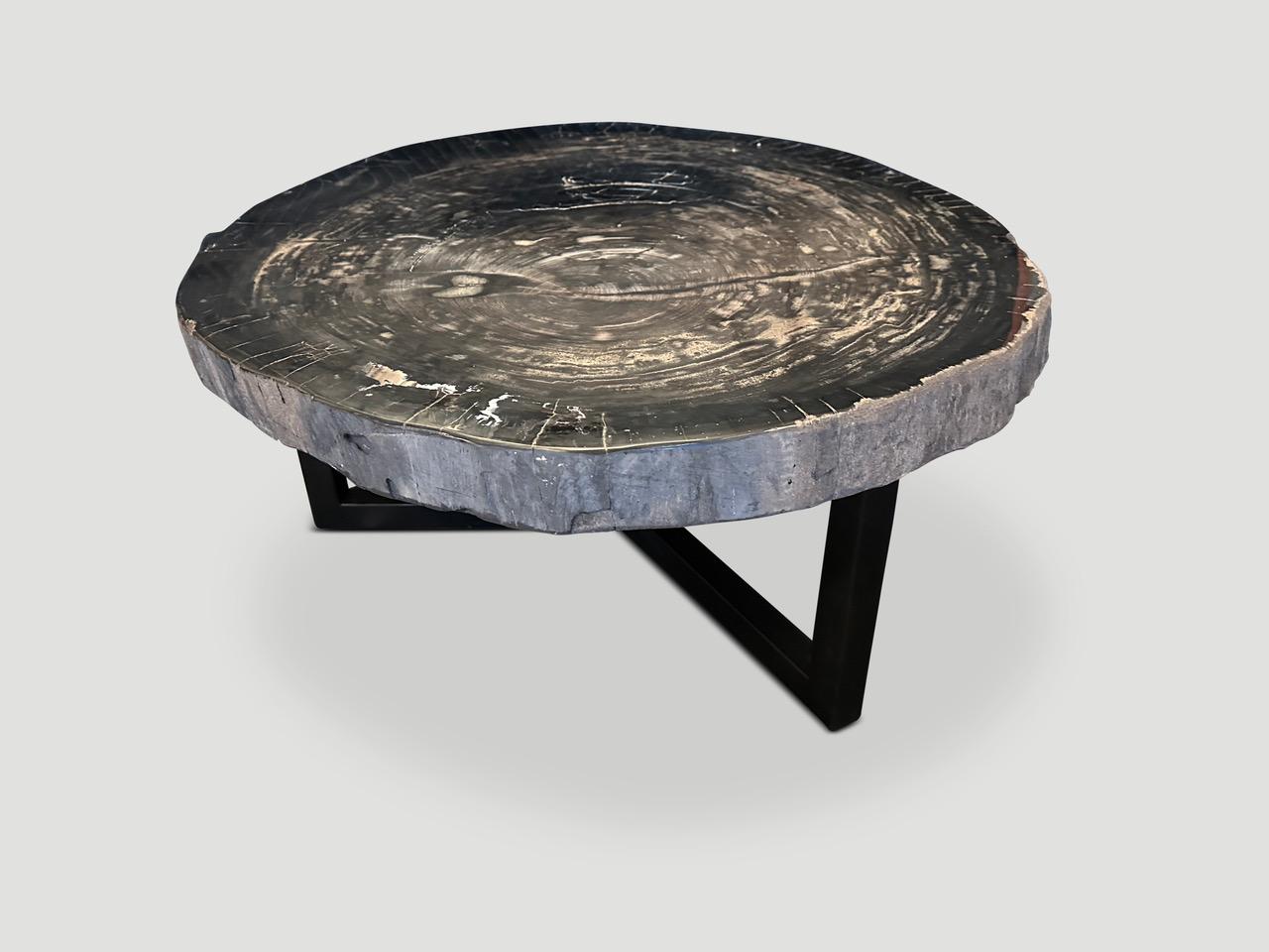 Organic Modern Andrianna Shamaris Impressive High Quality Petrified Wood Coffee Table  For Sale