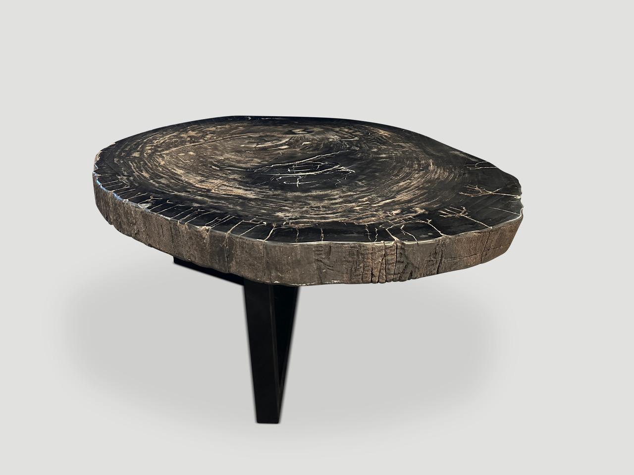 Andrianna Shamaris Impressive High Quality Petrified Wood Coffee Table  In Excellent Condition For Sale In New York, NY