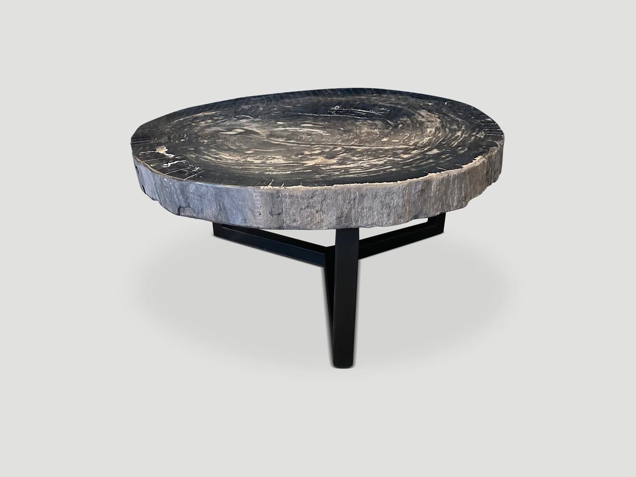 Contemporary Andrianna Shamaris Impressive High Quality Petrified Wood Coffee Table  For Sale