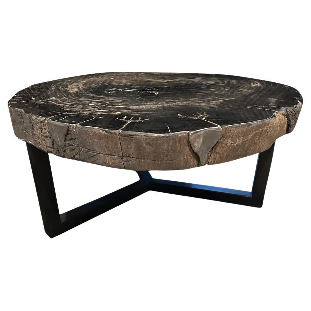 Andrianna Shamaris Impressive High Quality Petrified Wood Coffee Table 