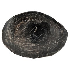 Andrianna Shamaris Impressive High Quality Petrified Wood Coffee Table 