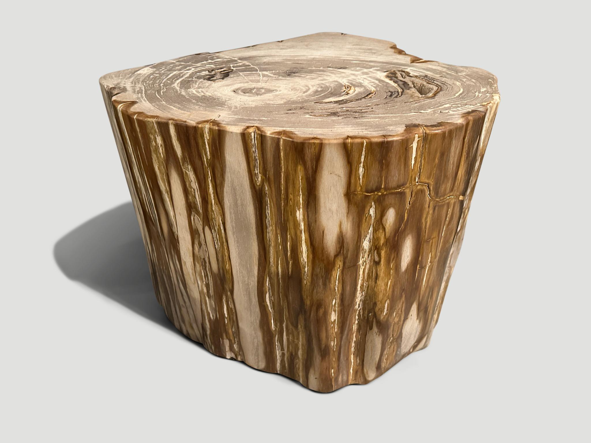 Impressive high quality petrified wood side table. It’s fascinating how Mother Nature produces these stunning 40 million year old petrified teak logs with such contrasting colors and natural patterns throughout. Modern yet with so much history. This