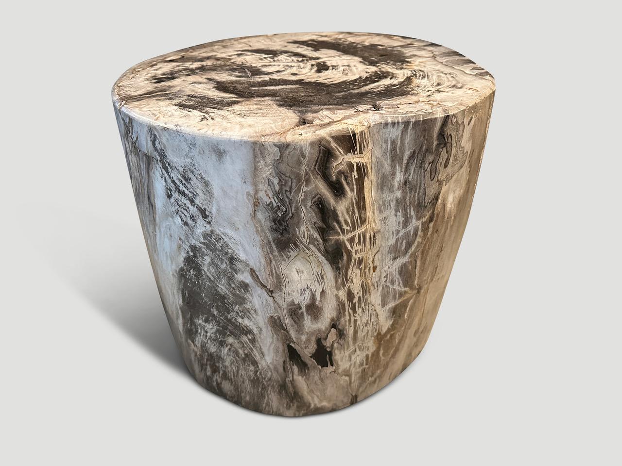 Impressive high quality petrified wood side table. It’s fascinating how Mother Nature produces these stunning 40 million year old petrified teak logs with such contrasting colors and natural patterns throughout. Modern yet with so much history. We