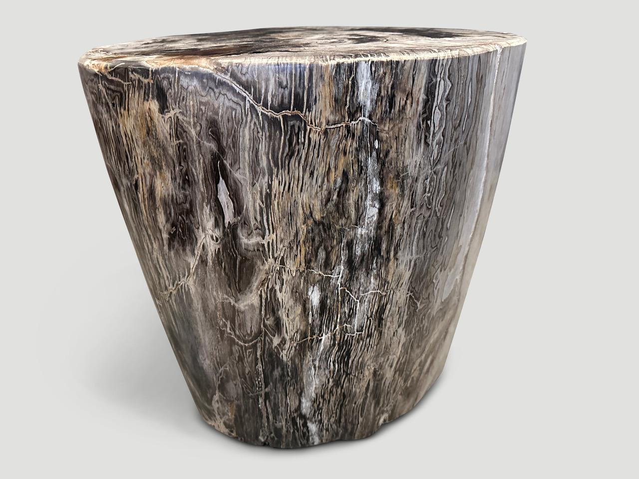 Organic Modern Andrianna Shamaris Impressive High Quality Petrified Wood Large Side Table For Sale