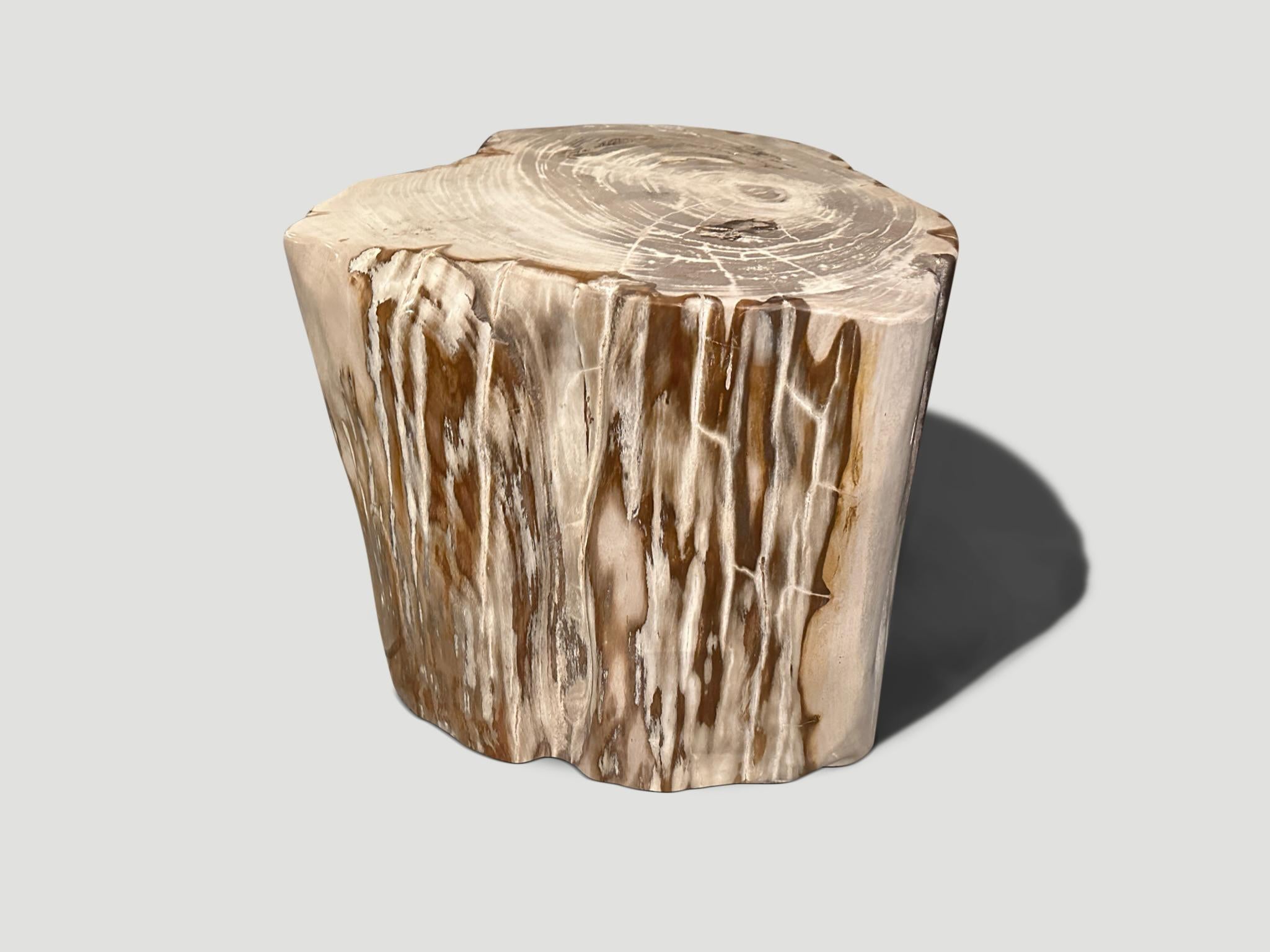 Andrianna Shamaris Impressive High Quality Petrified Wood Large Side Table In Excellent Condition For Sale In New York, NY