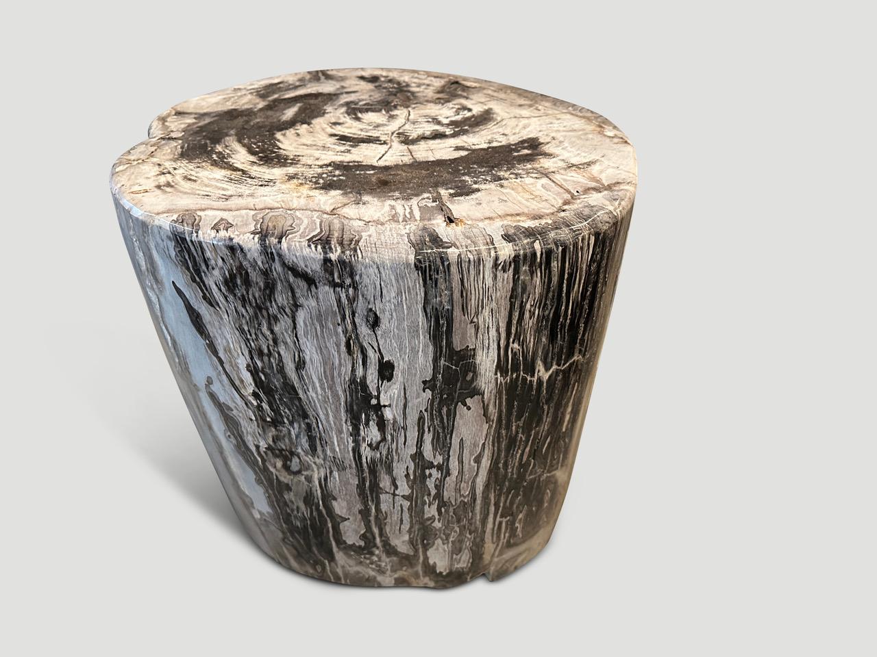 Andrianna Shamaris Impressive High Quality Petrified Wood Large Side Table In Excellent Condition In New York, NY